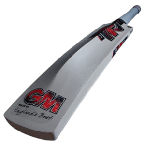 Gunn & Moore Radon DXM TT Cricket Bat