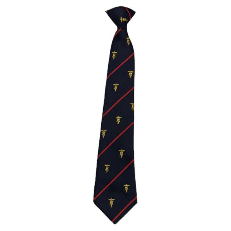 Ashmole Academy Tie