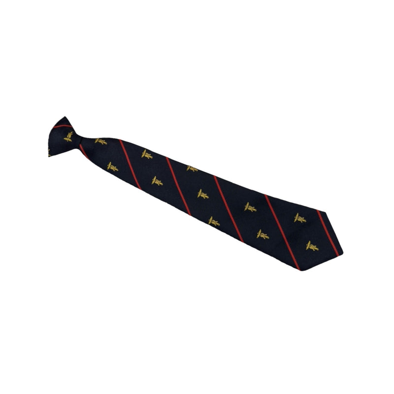 Ashmole Academy Tie