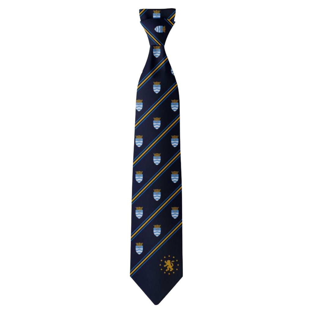 Hockerill Anglo-European College Year 11 - 13 Thames Male Boarders Tie
