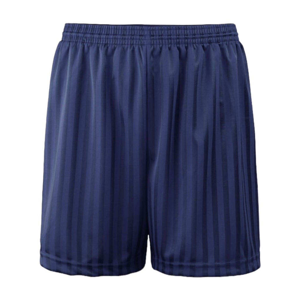 Navy Shadow Stripe Shorts