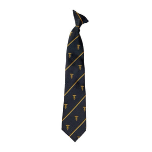 Ashmole Year 8 Tie