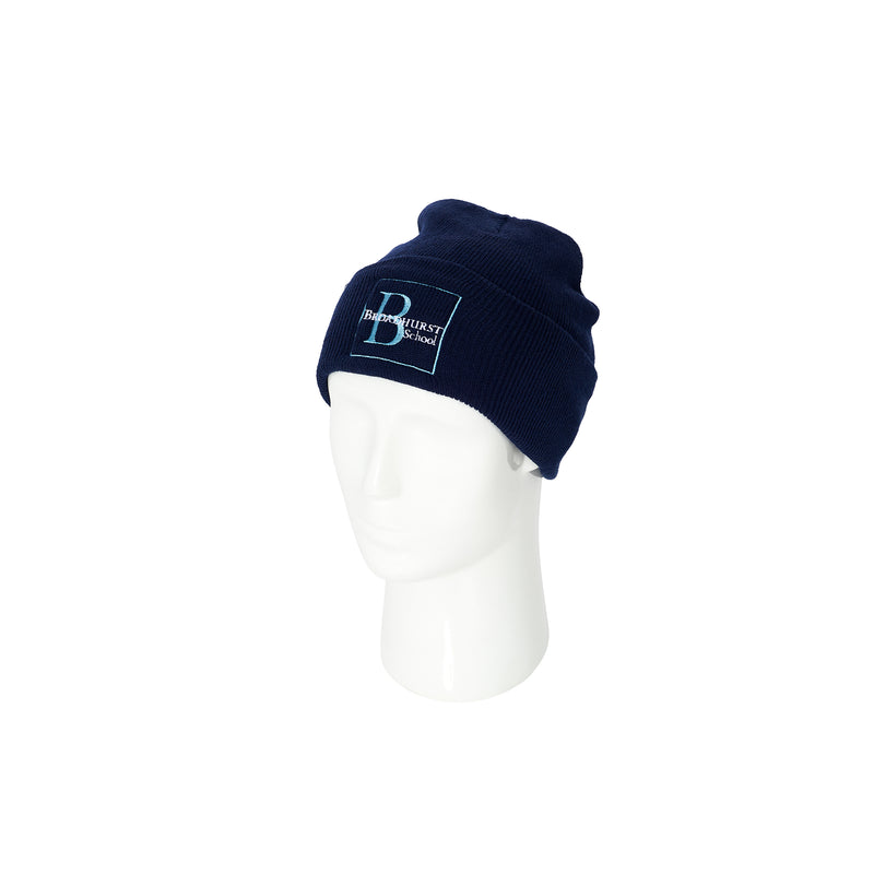 Broadhurst School Ski Hat