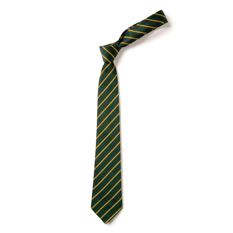 Green and Gold Striped Tie
