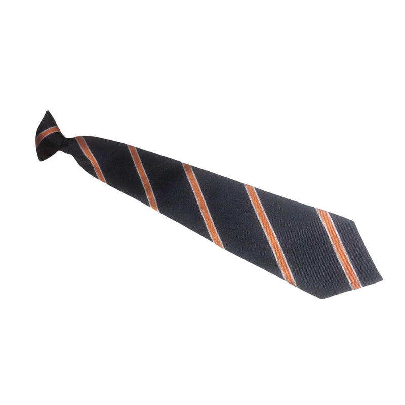 Aylward Academy Tie