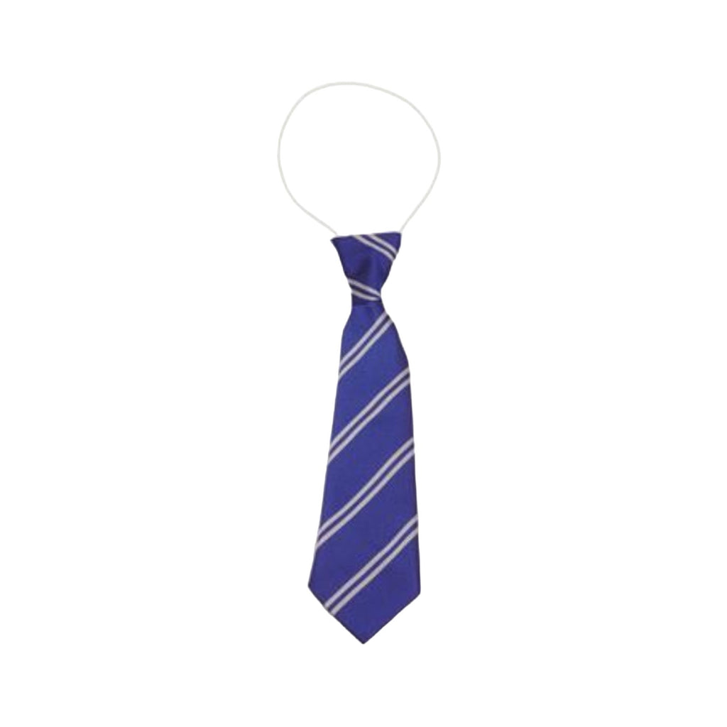 Brimsdown School Tie