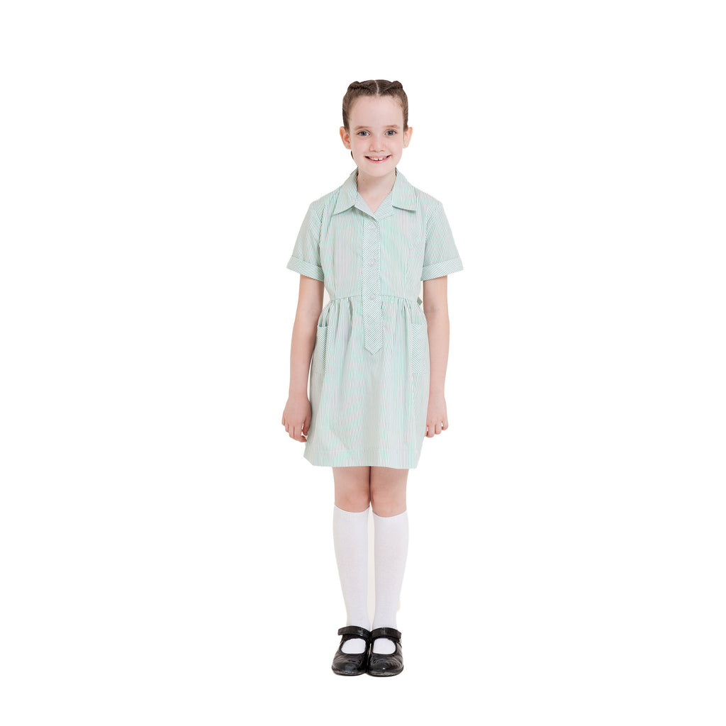 Green Pin Stripe Summer Dress