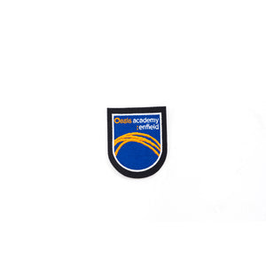 Oasis Academy Enfield Badge