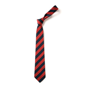 St Paul's C of E Primary School Tie