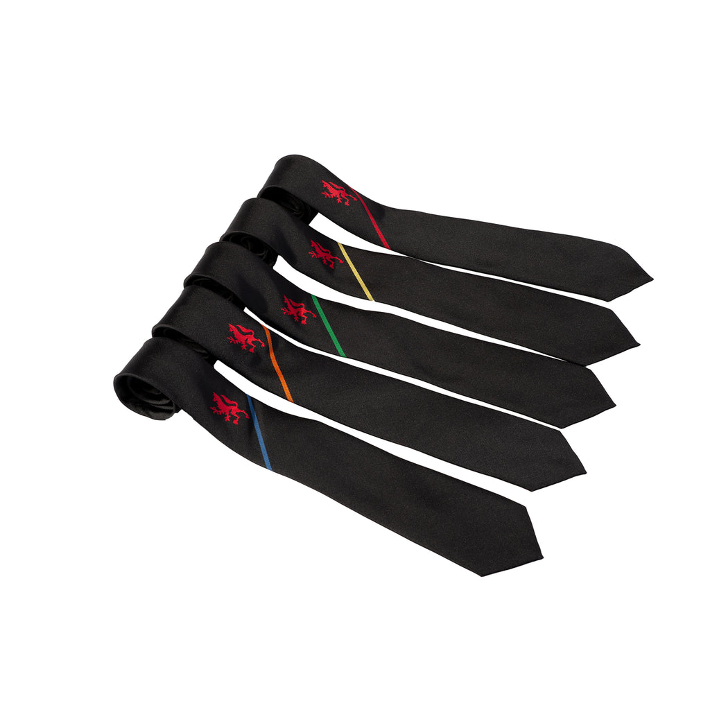 Chace Year 11 Tie