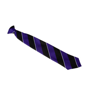 All Saints Catholic College Tie