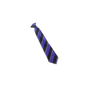 The Totteridge Academy Tie