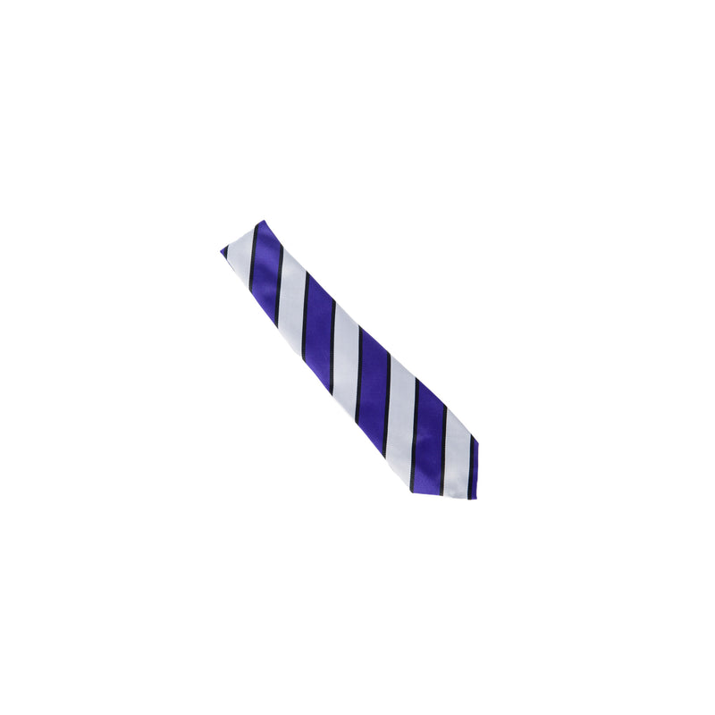 The Totteridge Academy Tie