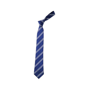 Brimsdown School Tie