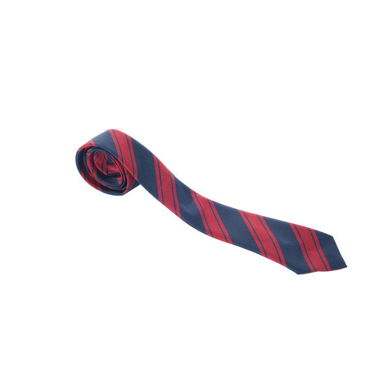 Alpha Prep Tie