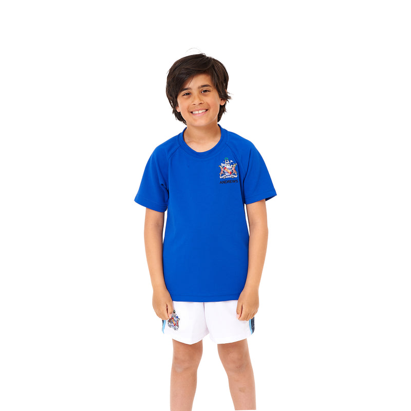 Haberdashers' Boys' Preparatory School House Shirt