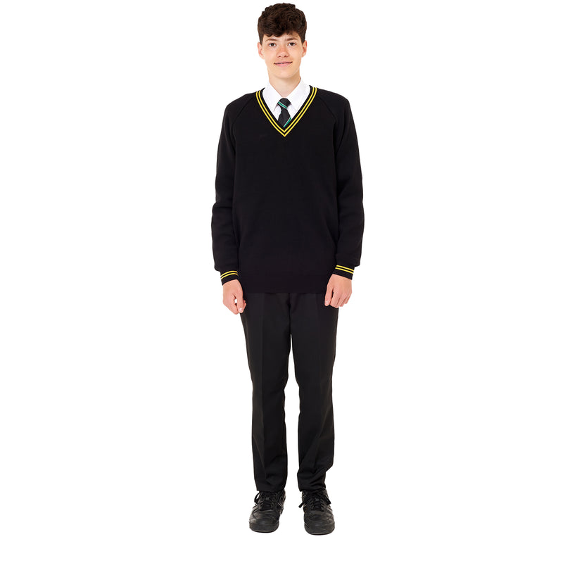 Aylward Academy Vneck