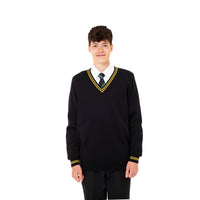 Aylward Academy Vneck