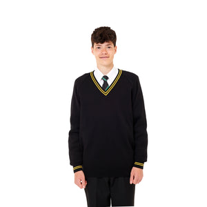Aylward Academy Vneck