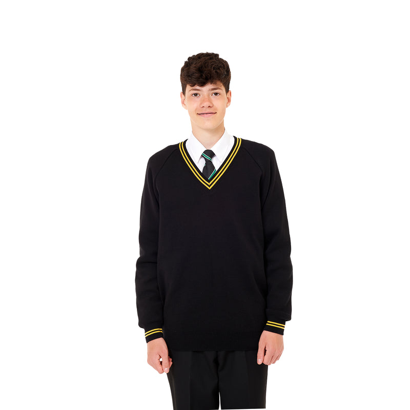 Aylward Academy Vneck