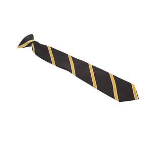 Aylward Academy Tie