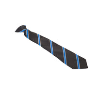 Aylward Academy Tie