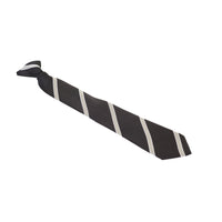 Aylward Academy Tie