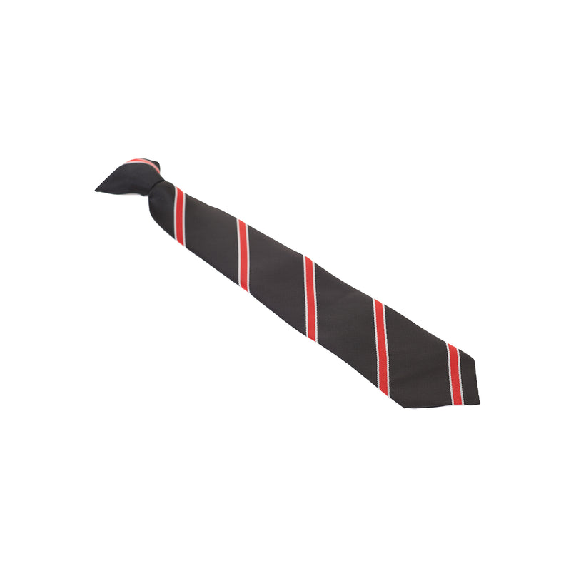 Aylward Academy Tie