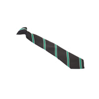 Aylward Academy Tie