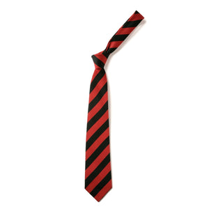 Alma Primary School Tie