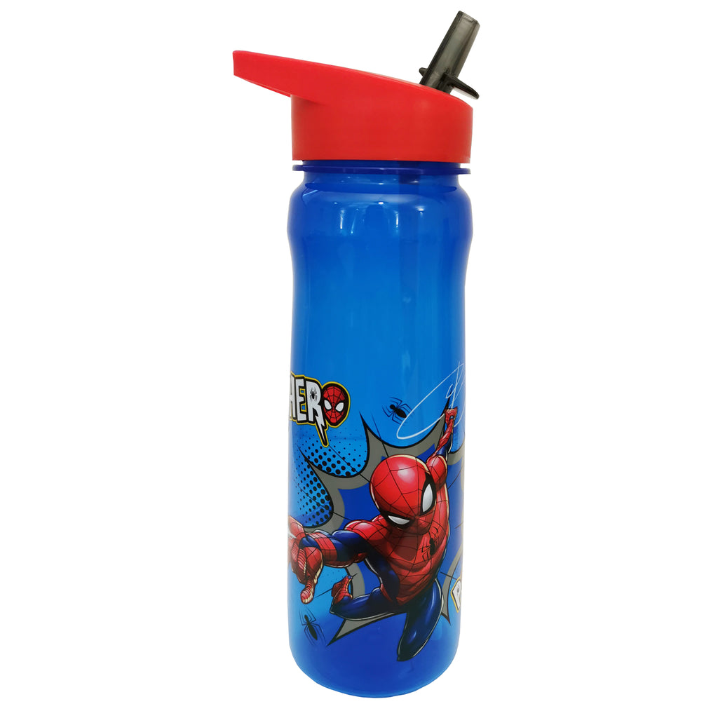 Spiderman Hero Lunch Bag and Bottle